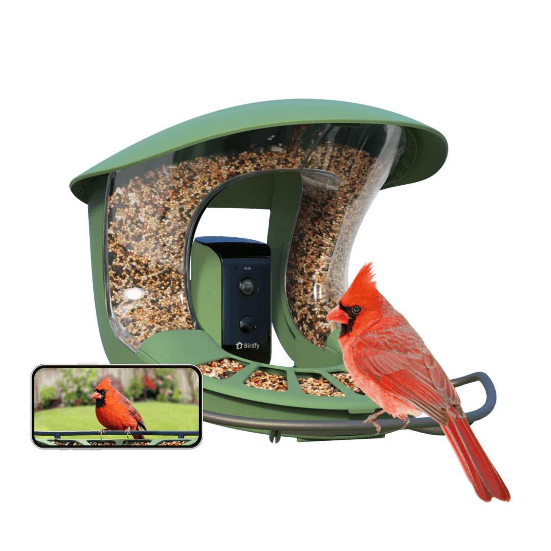 Birdfy Smart Bird Feeder 2 with Camera Night Vision and AI Bird Recognition