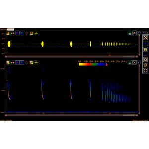 Petterson BatSound Touch Real Time Recording and Spectrogram Analysis Software
