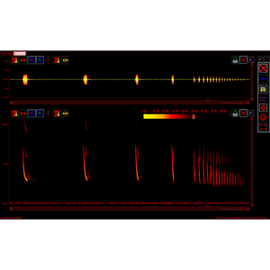 Petterson BatSound Touch Real Time Recording and Spectrogram Analysis Software