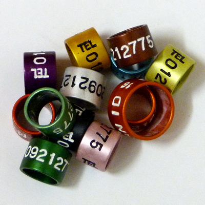 Numbered & Lettered Coloured Aluminium Bands for Wildfowl Research x 10 u.
