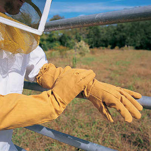Canvas Beekeeping Gloves