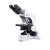 Motic BA410 Series Microscope