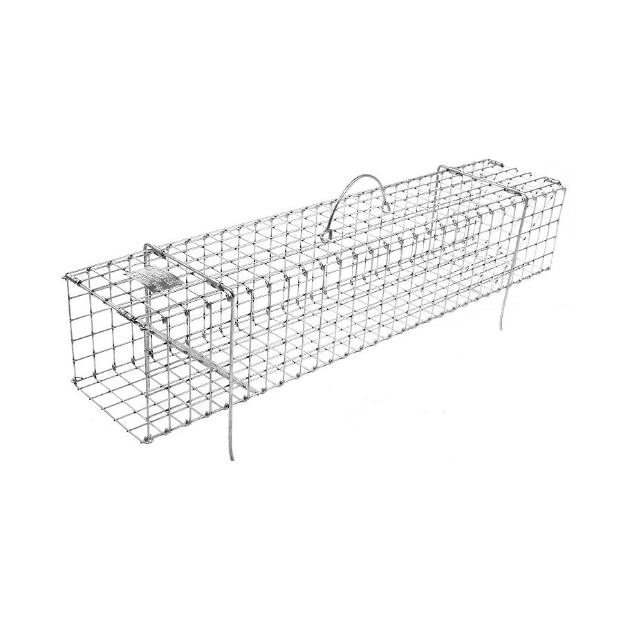Collapsible Muskrat Colony Traps - 202C