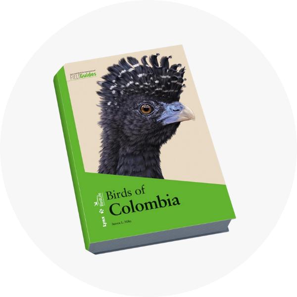Libros