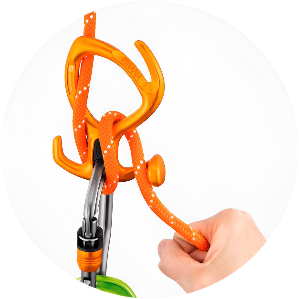 Climbing Equipment - BIOWEB USA