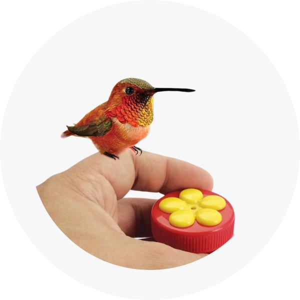 Otros productos para los amantes de la naturaleza