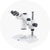 Stereo Microscopes