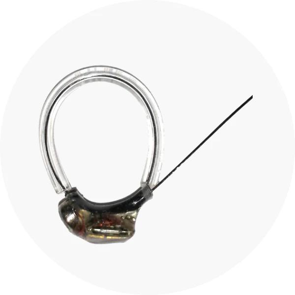 Seguimiento de vida silvestre