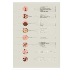 The Ant Collective: Inside the World of an Ant Colony