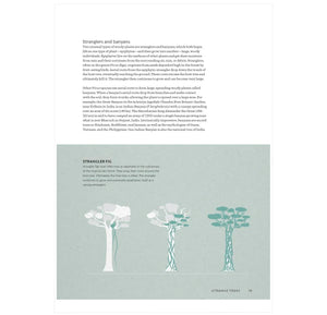 The World Atlas of Trees and Forests: Exploring Earth's Forest Ecosystems