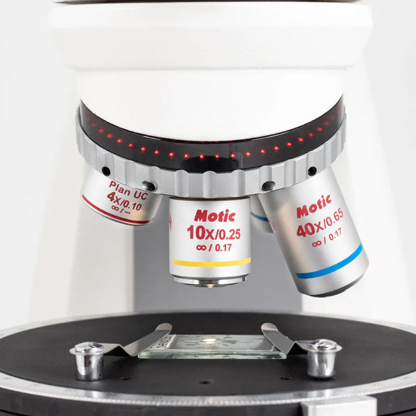 Motic Panthera TEC POL Upright Compound Microscope up to 600X with Cir ...