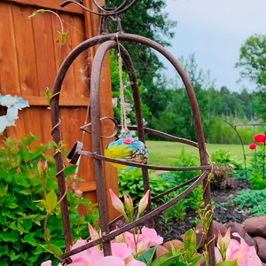 Hummingbirds Feeders 2 Pack