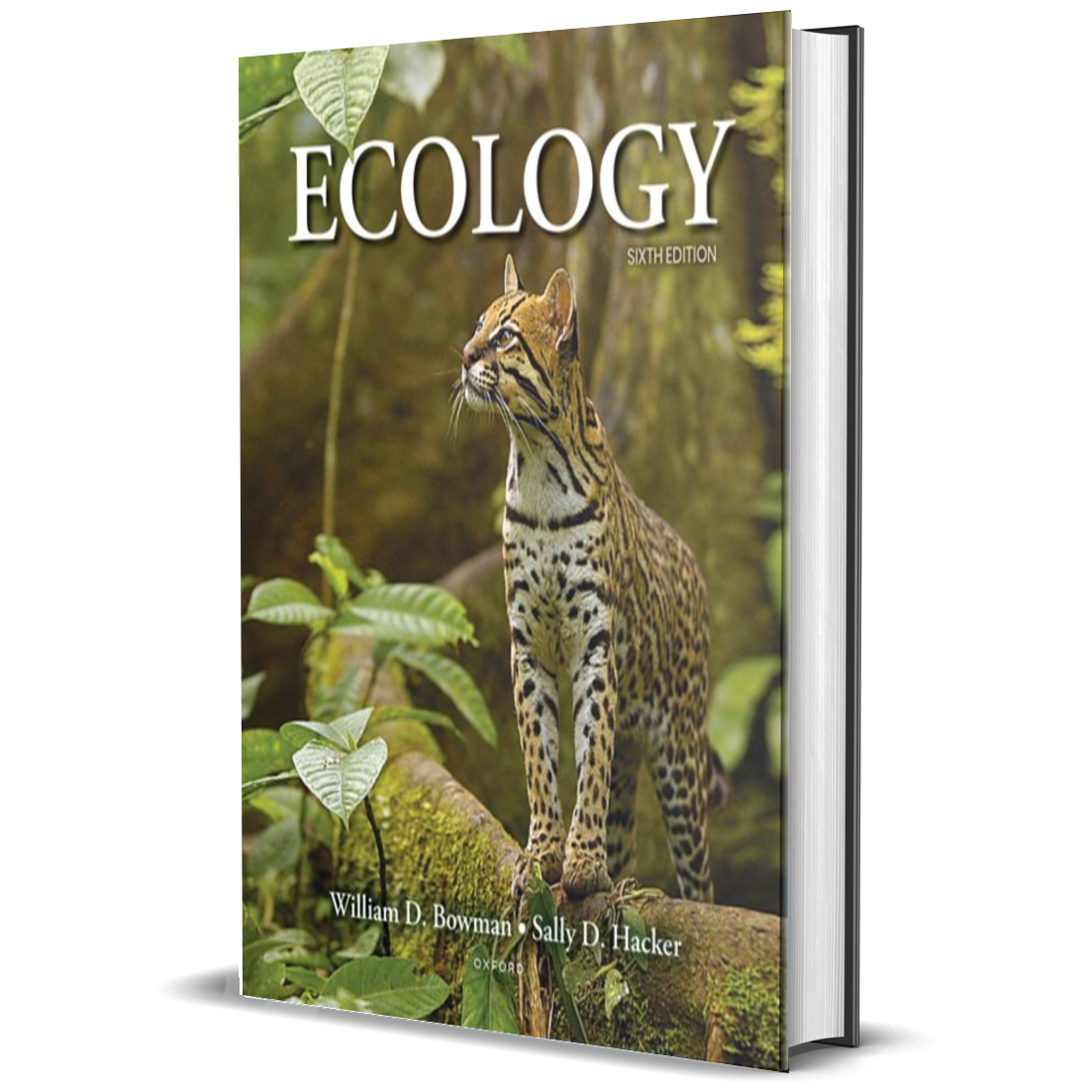 Ecology 6th Edition