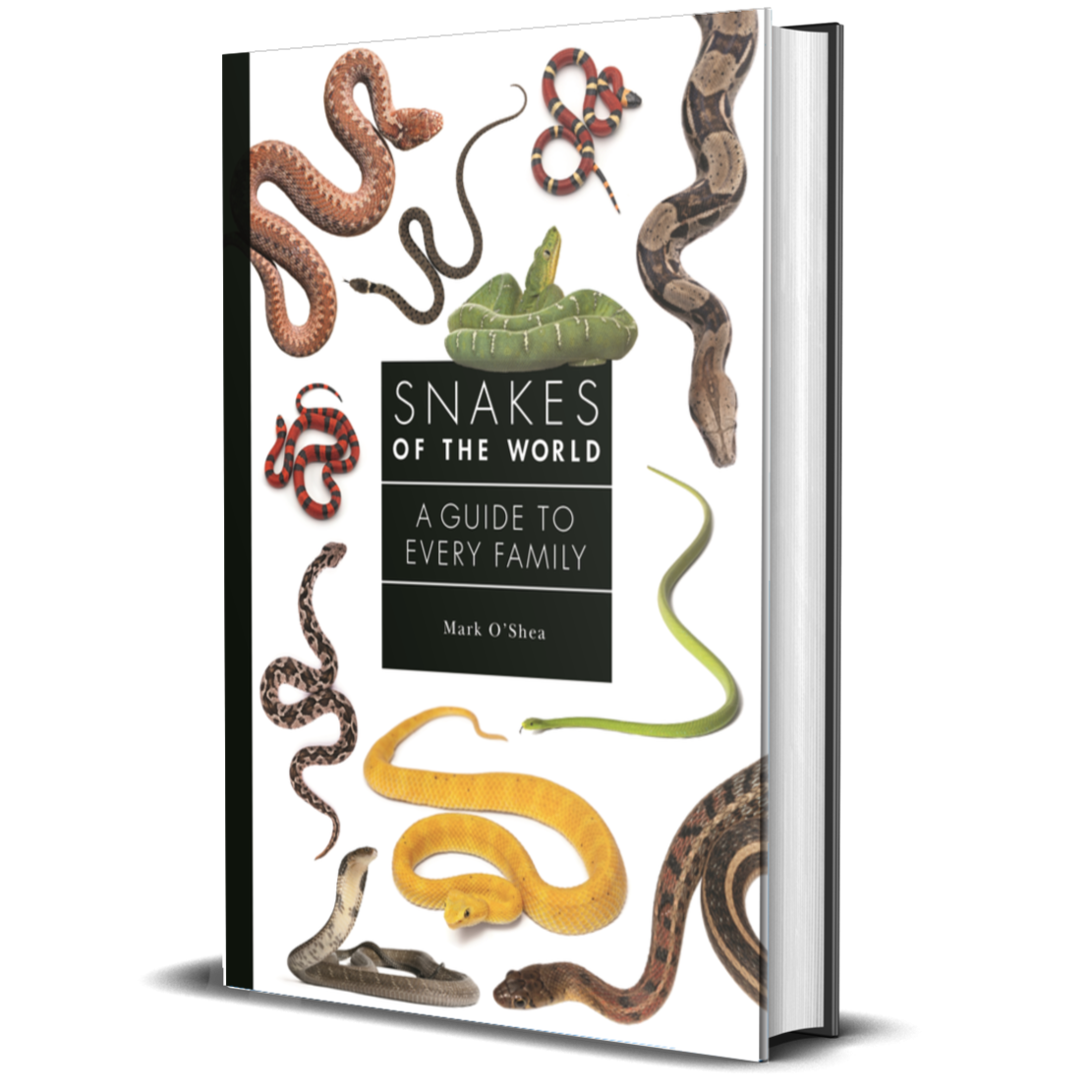 世界ヘビ図鑑「The Atlas of Snakes of the World」 世界ヘビ図鑑「The Atlas of Snakes of the World」 The Atlas