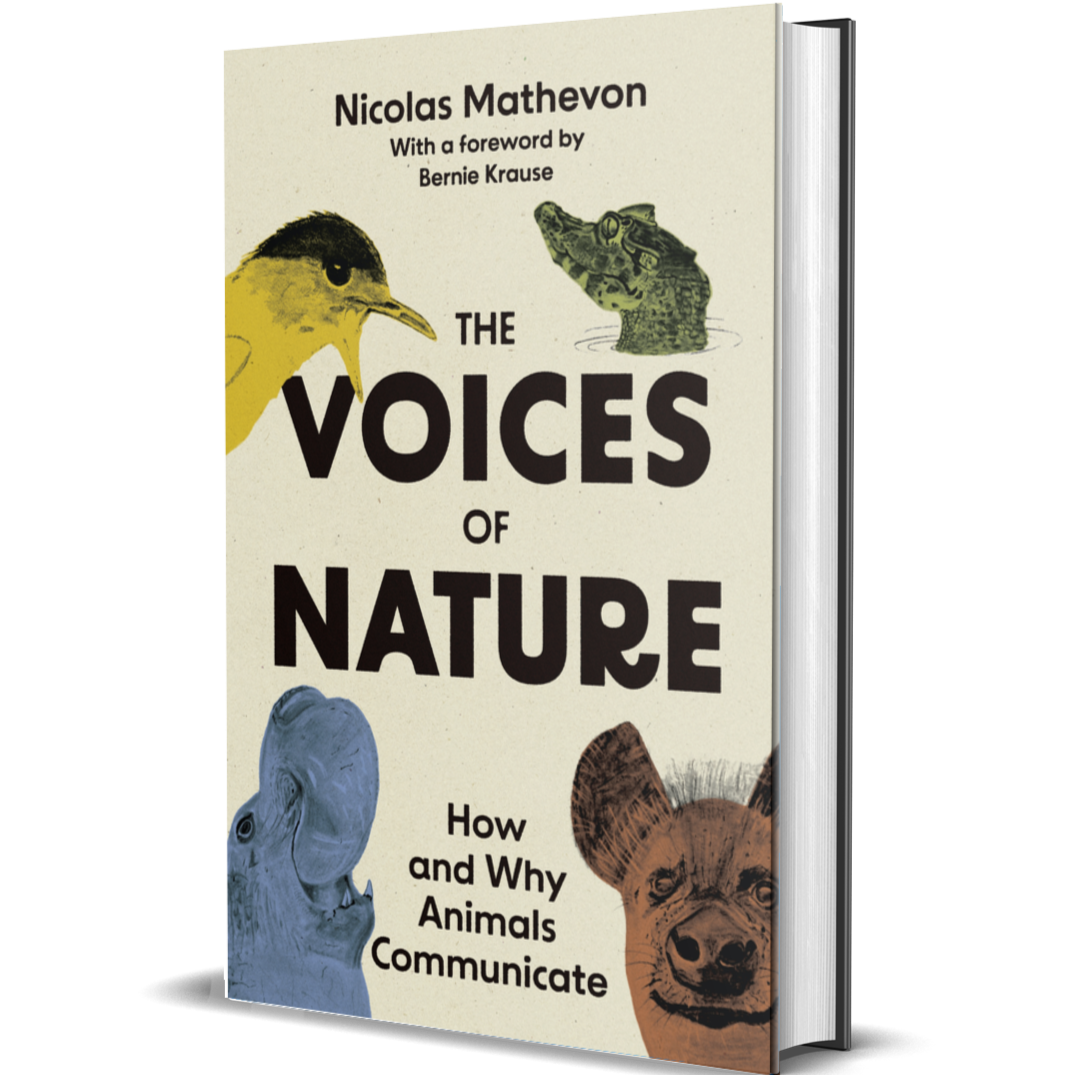 The Voices of Nature How and Why Animals Communicate