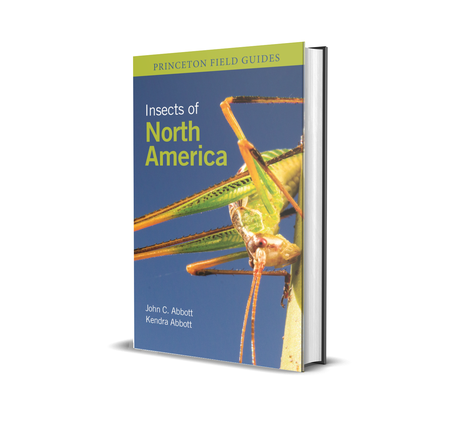 Insects of North America