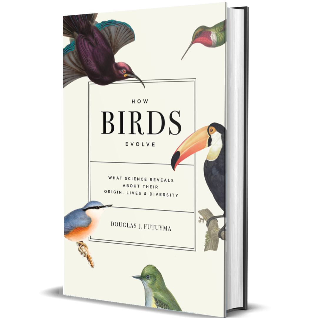 How Birds Evolve What Science Reveals about Their Origin, Lives, and Diversity