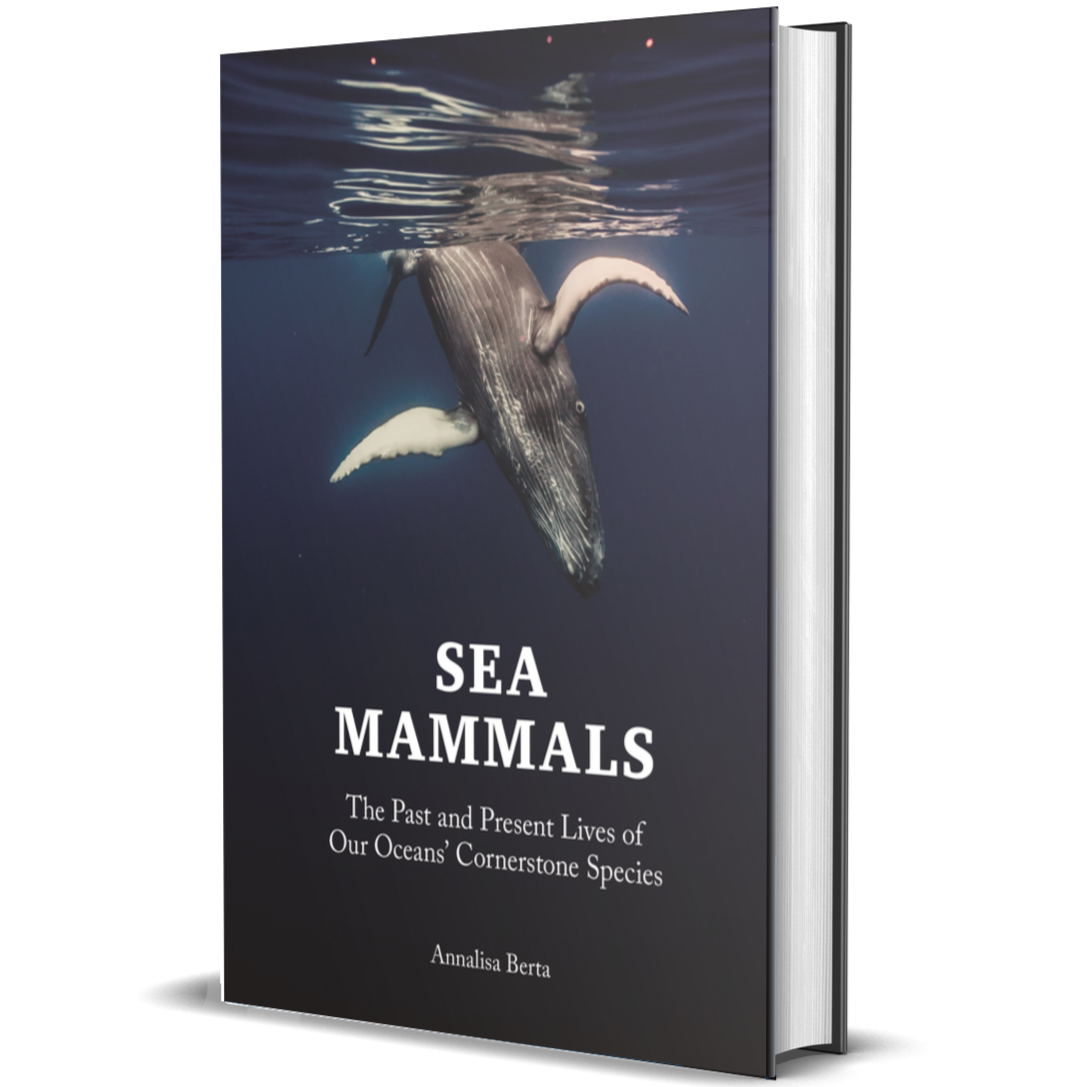 Sea Mammals The Past and Present Lives of Our Oceans’ Cornerstone Species