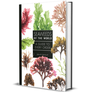 Seaweeds of the World A Guide to Every Order