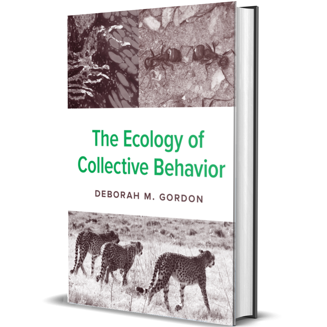 The Ecology of Collective Behavior