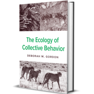 The Ecology of Collective Behavior