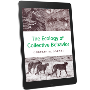 The Ecology of Collective Behavior