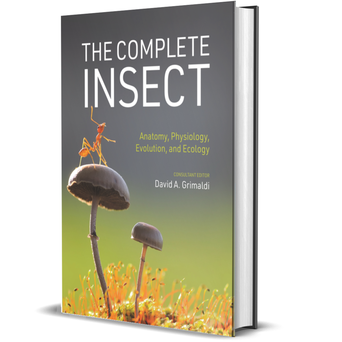 The Complete Insect Anatomy, Physiology, Evolution, and Ecology