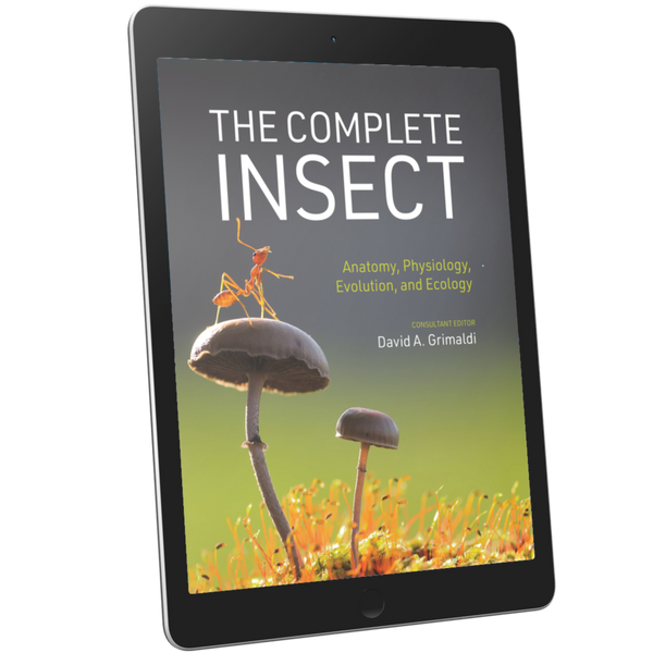 The Complete Insect Anatomy, Physiology, Evolution, and Ecology ...