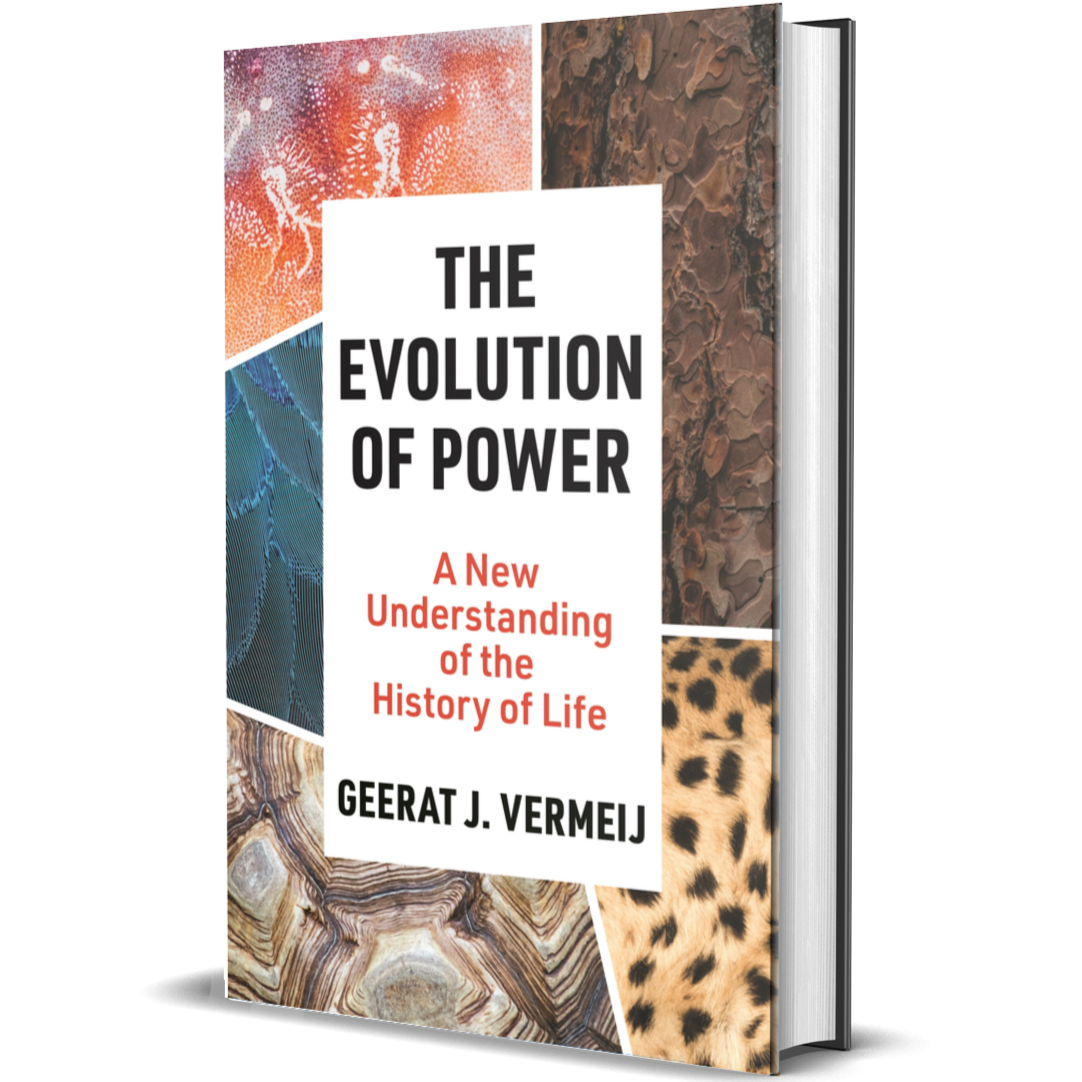 The Evolution of Power A New Understanding of the History of Life