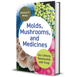 Molds, Mushrooms, and Medicines Our Lifelong Relationship with Fungi