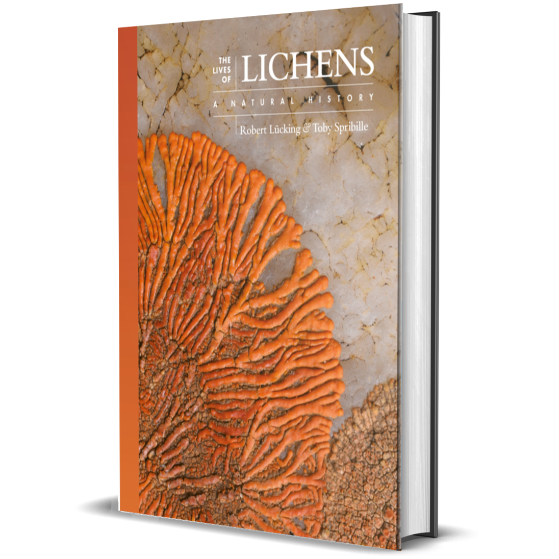 The Lives of Lichens A Natural History