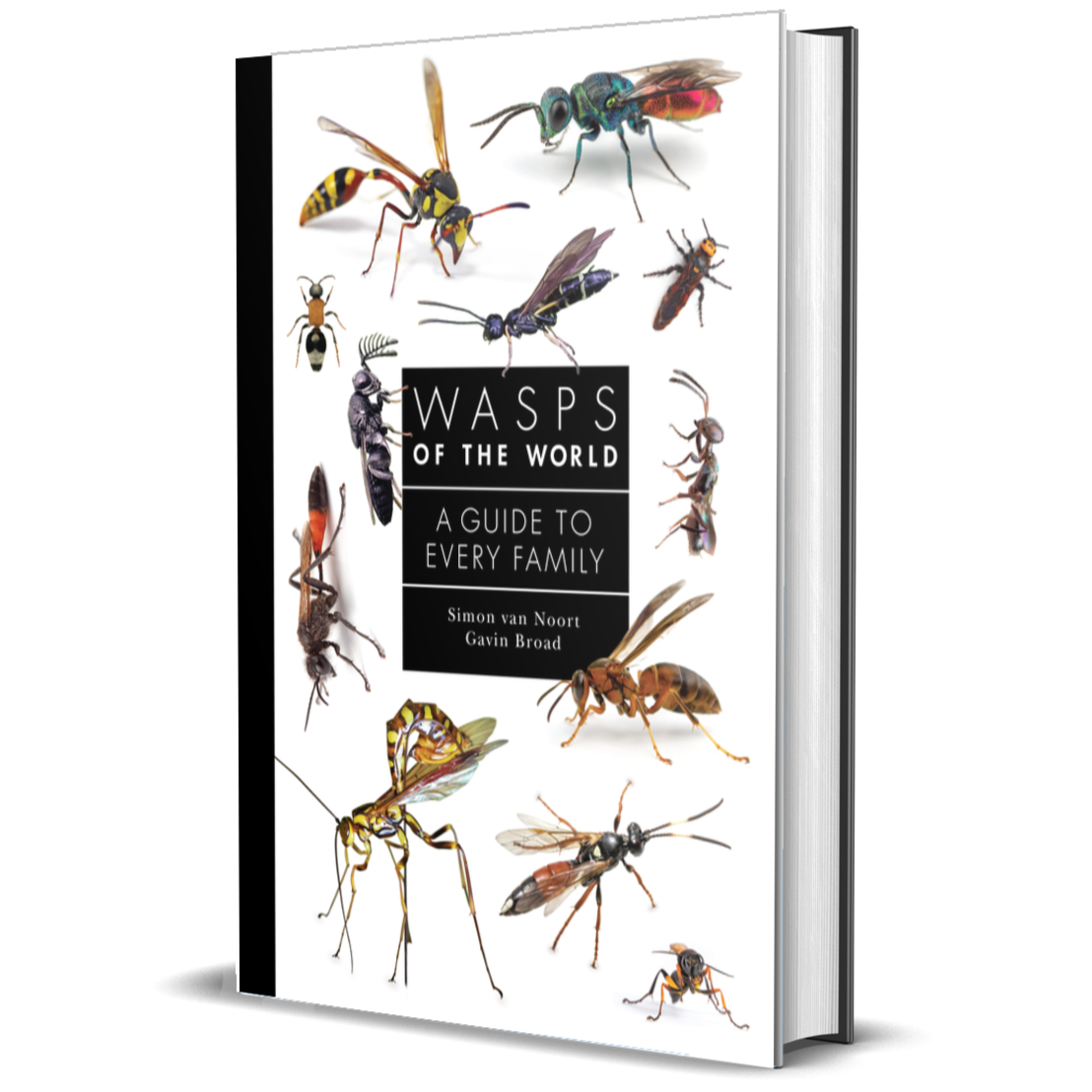 Wasps of the World: A Guide to Every Family