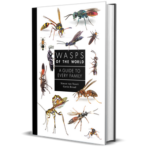 Wasps of the World: A Guide to Every Family