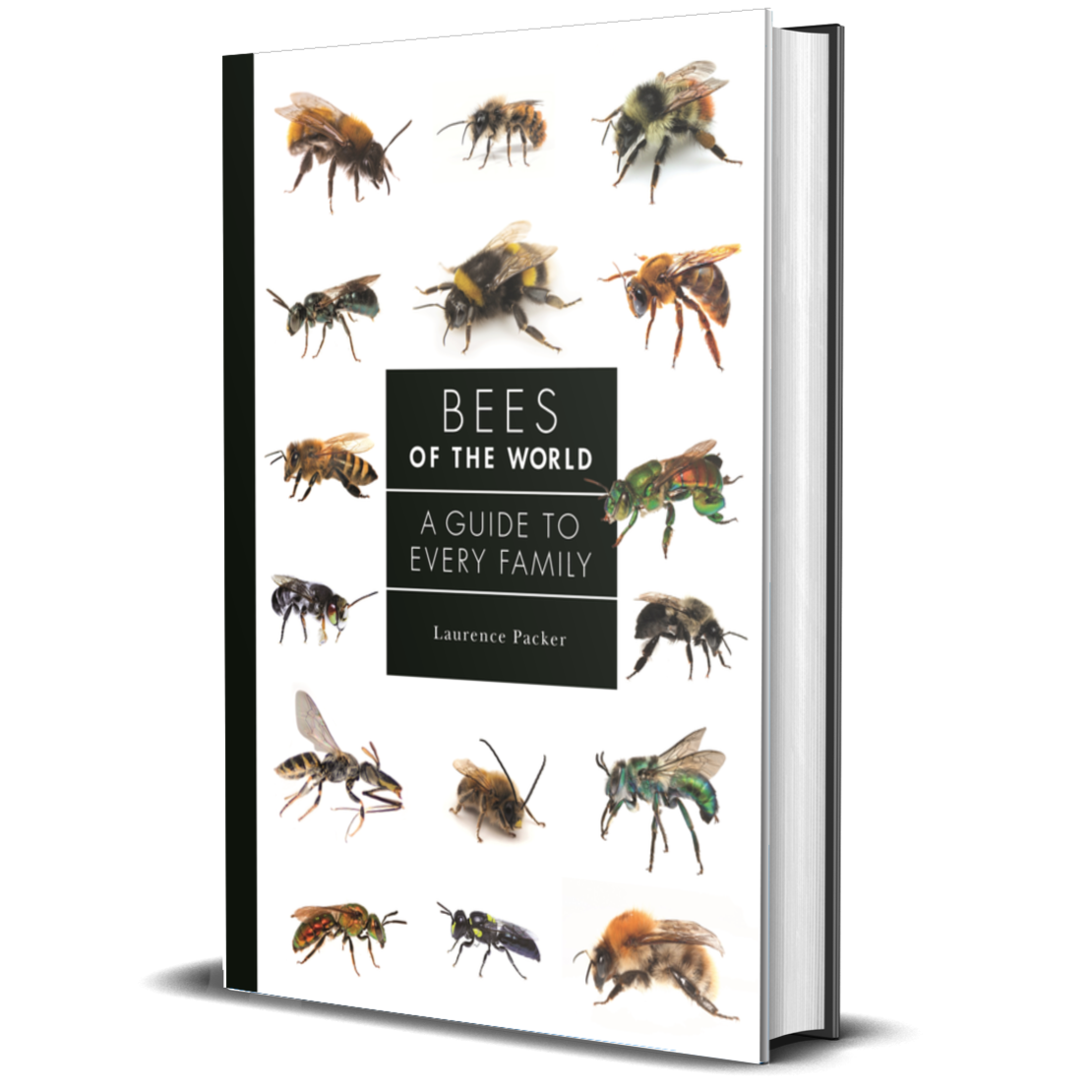Bees of the World: A Guide to Every Family