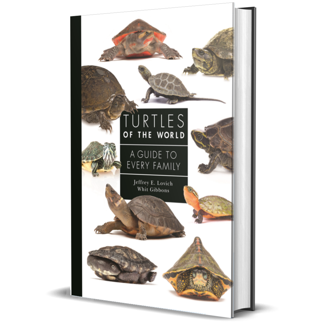 Turtles of the World: A Guide to Every Family