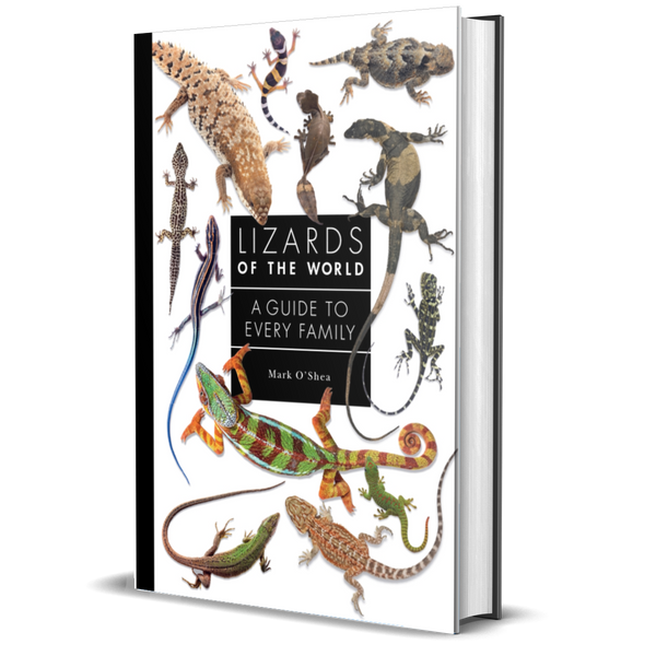洋書　Girdled Lizards and their relatives 本 洋書 Girdled Lizards and their relatives