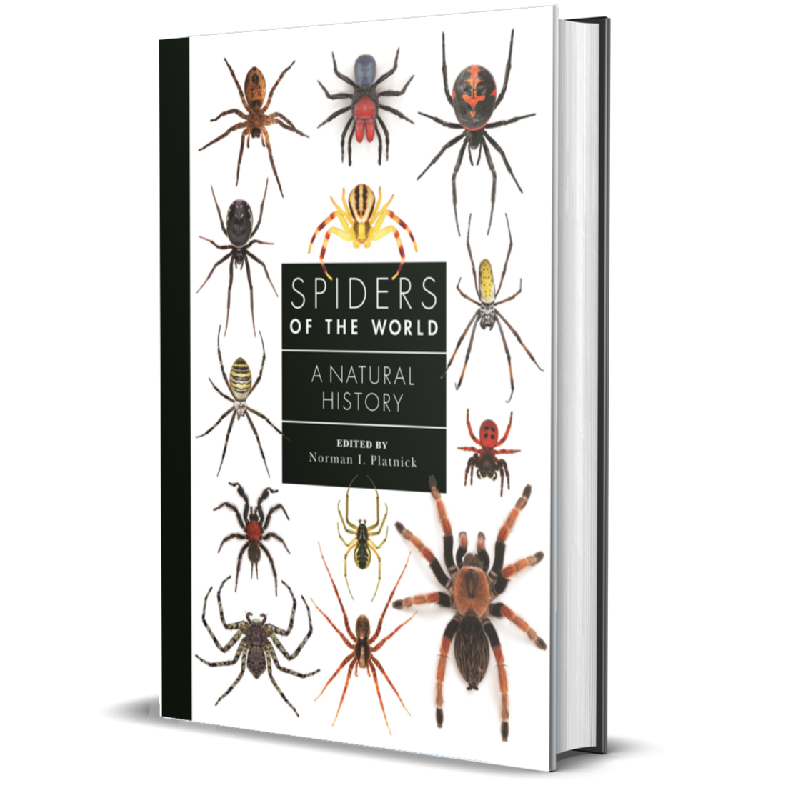 Spiders of the World: A Natural History