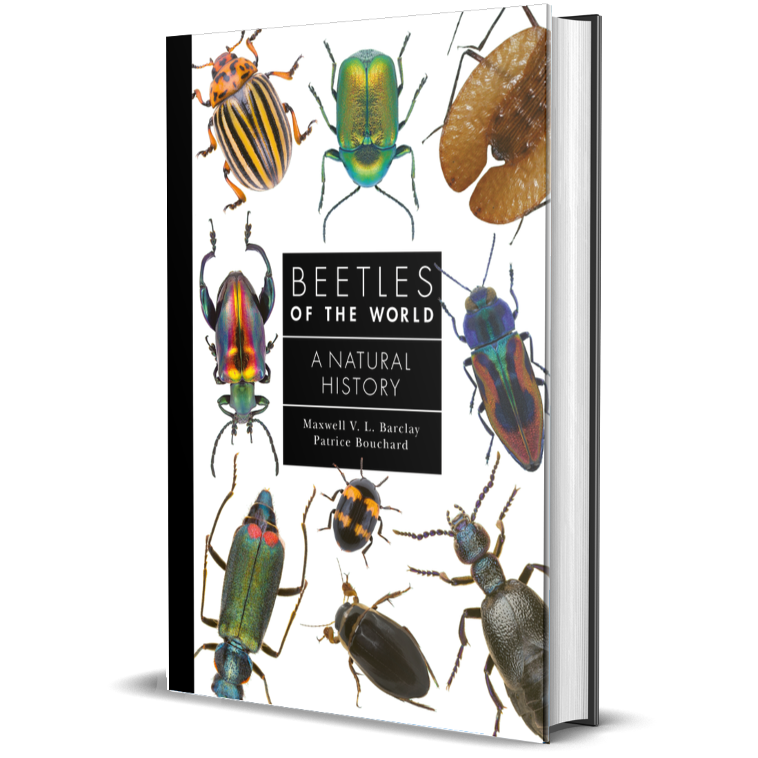 Beetles of the World: A Natural History
