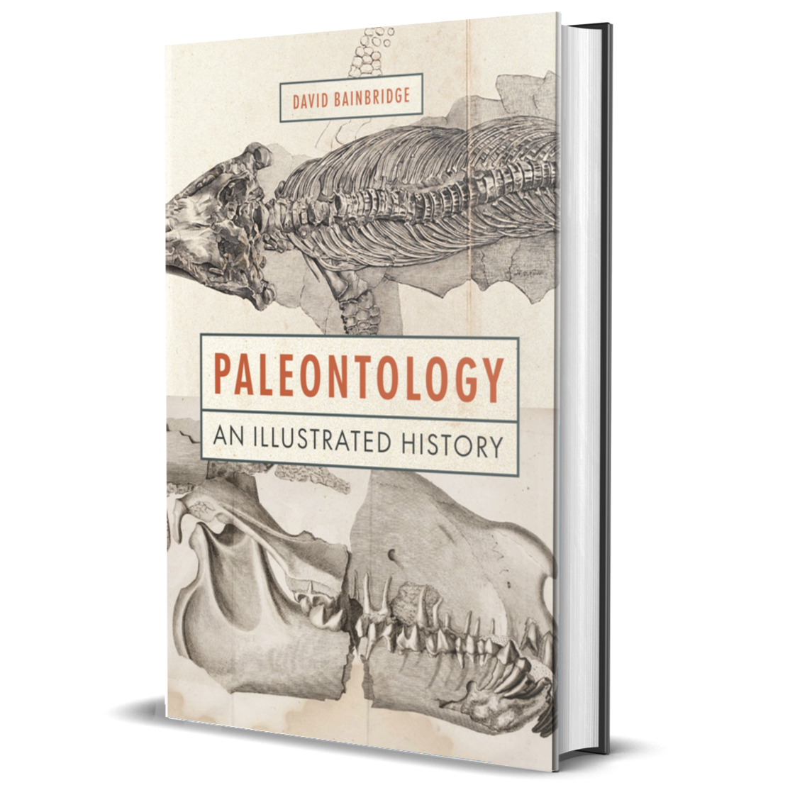 Paleontology: An Illustrated History
