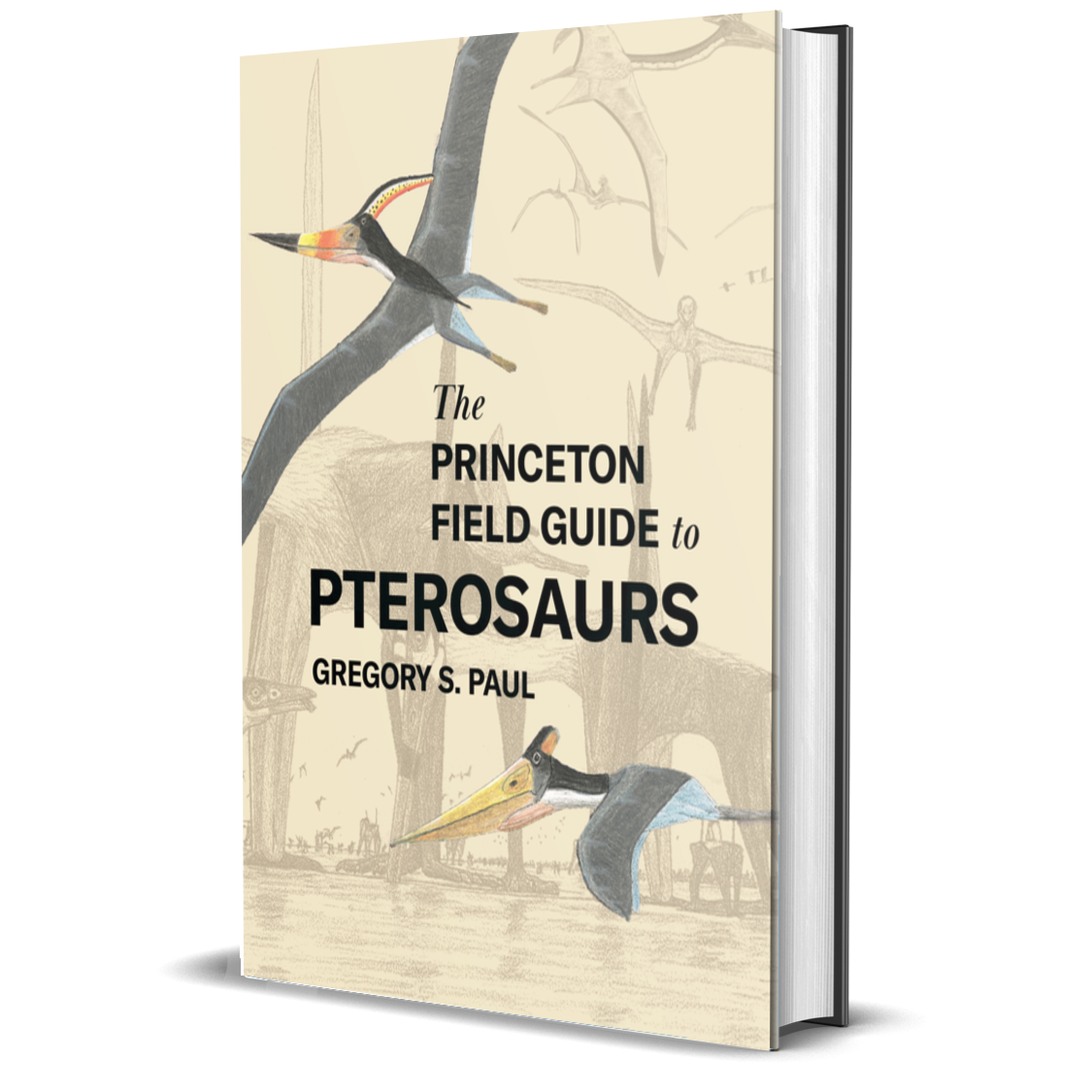 The Princeton Field Guide to Pterosaurs