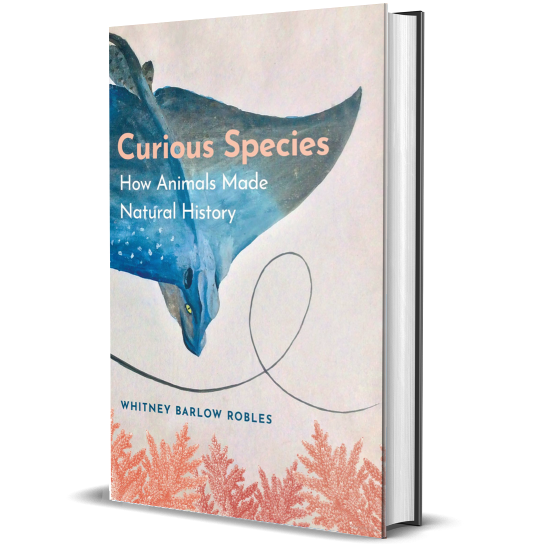 Curious Species How Animals Made Natural History