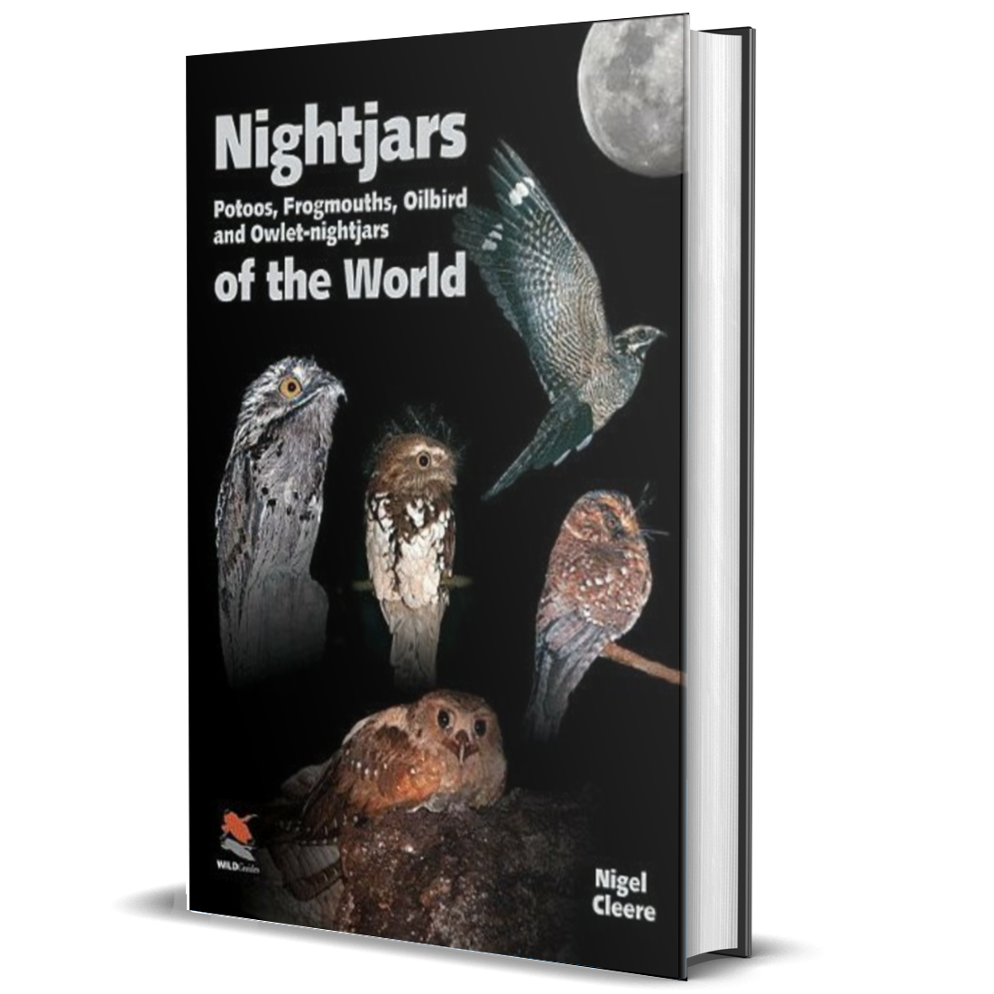 Nightjars, Potoos, Frogmouths, Oilbird, and Owlet-nightjars of the World