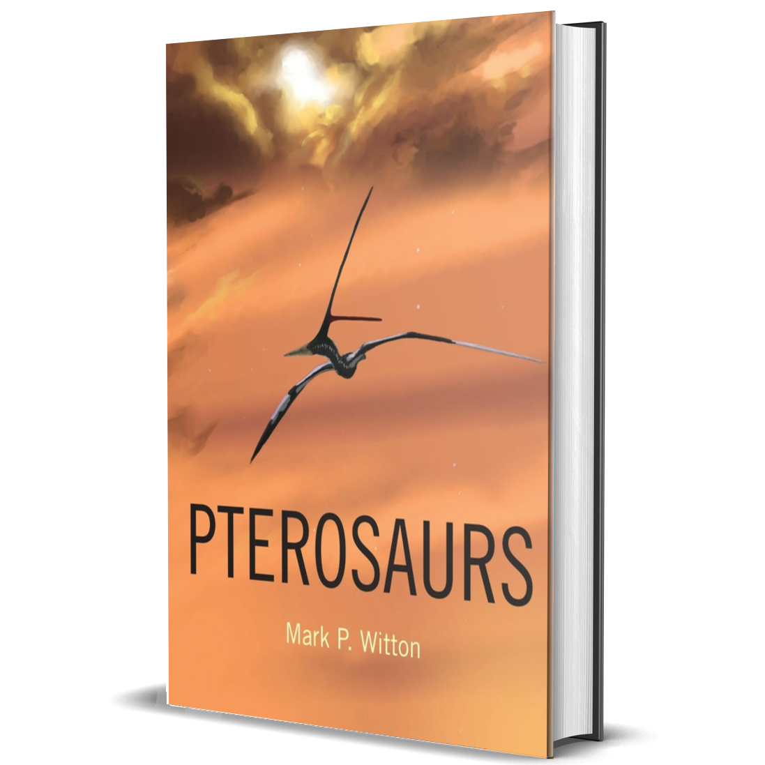Pterosaurs: Natural History, Evolution, Anatomy