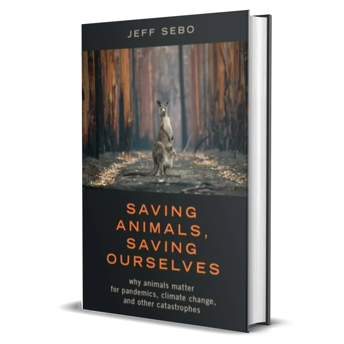 Saving Animals, Saving Ourselves: Why Animals Matter for Pandemics, Climate Change, and other Catastrophes