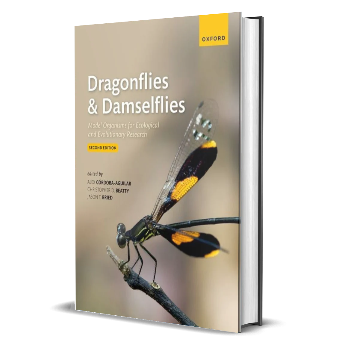 Dragonflies and Damselflies: Model Organisms for Ecological and Evolutionary Research