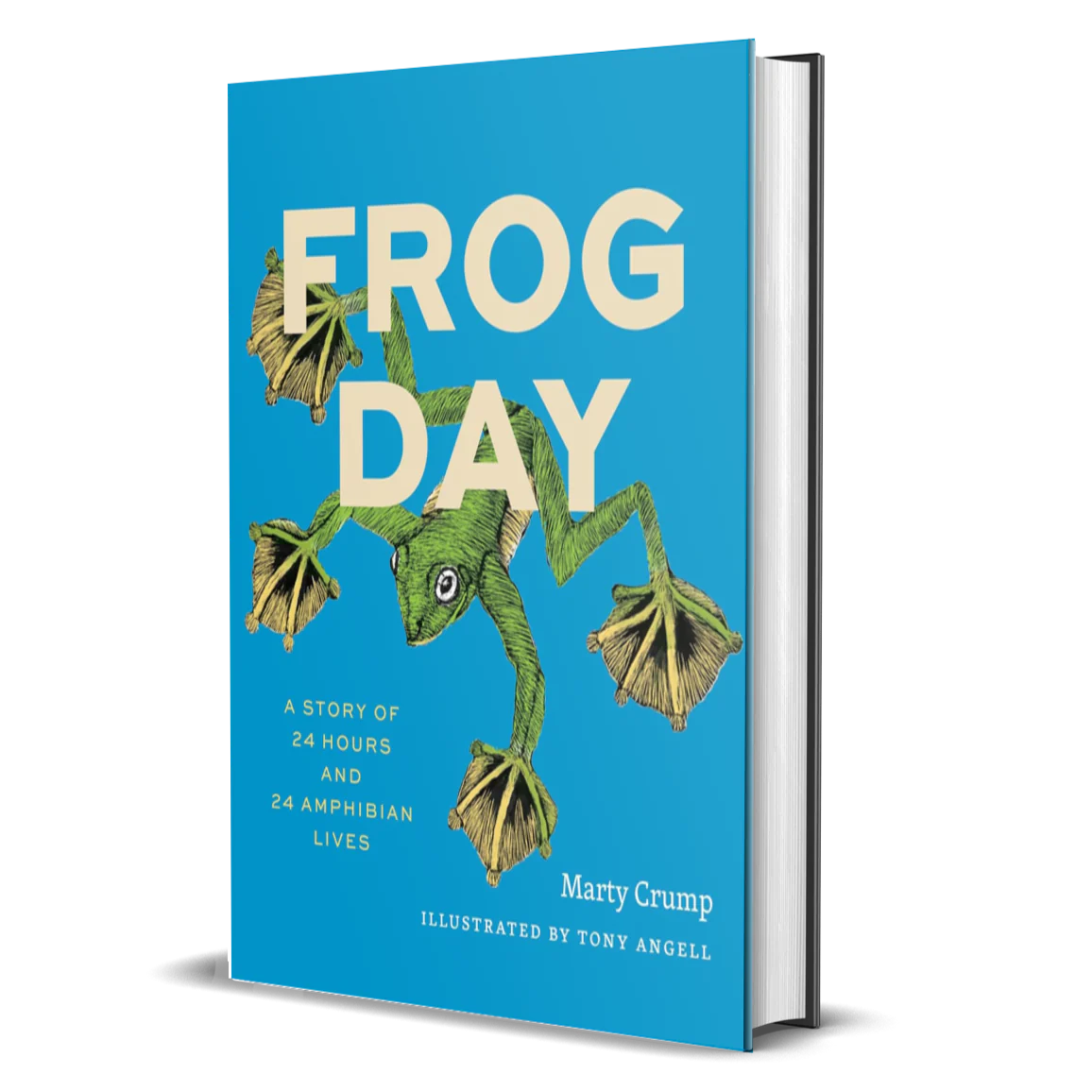 Frog Day: A Story of 24 Hours and 24 Amphibian Lives (Earth Day)