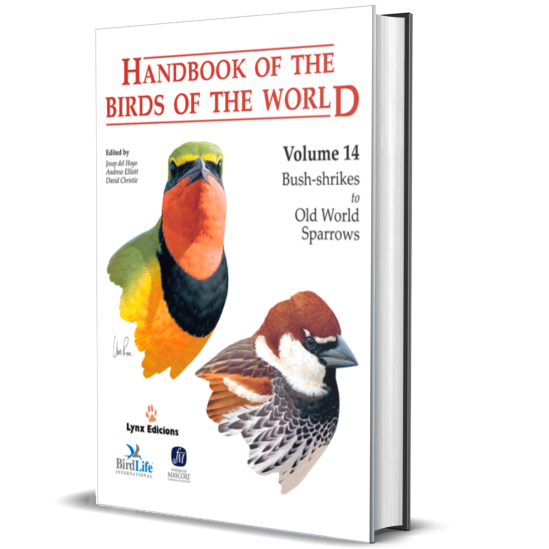 Handbook of the Birds of the World Vol.14: Bush-shrikes to Old World Sparrows