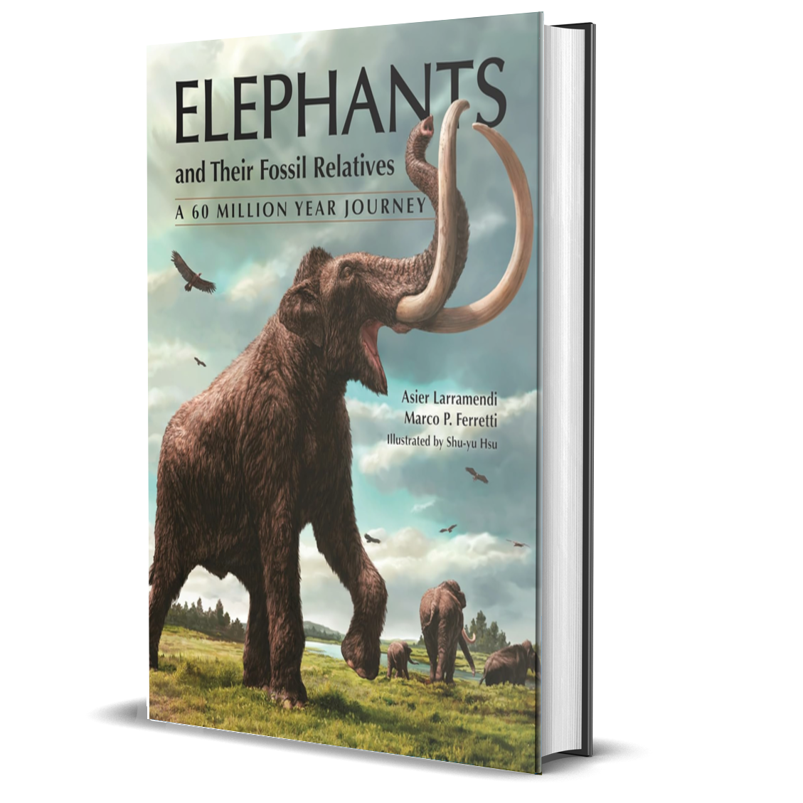 Elephants and Their Fossil Relatives: A 60 Million Year Journey
