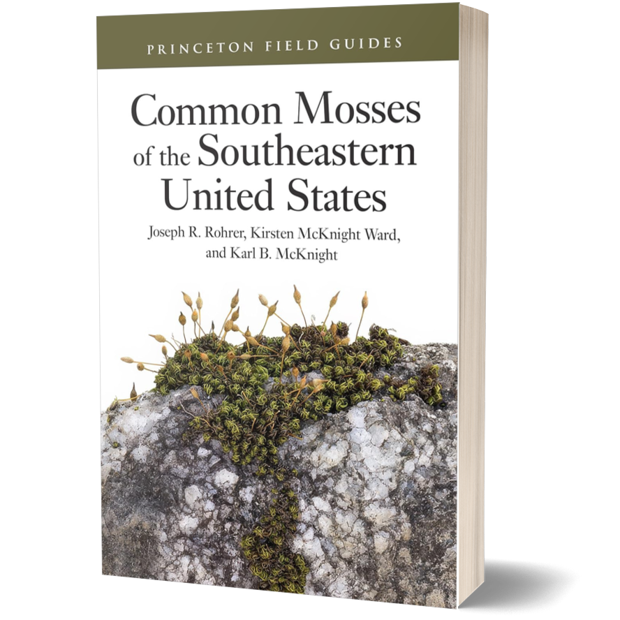 Common Mosses of the Southeastern United States