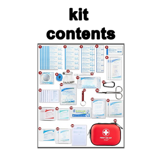 First Aid Kit 100 Items